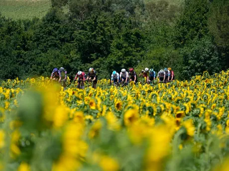 Momentka z 11. etapy na Tour de France 2025.
