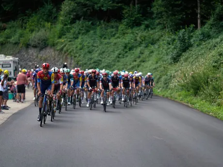 Pelotón počas 19. etapy na Tour de France. 