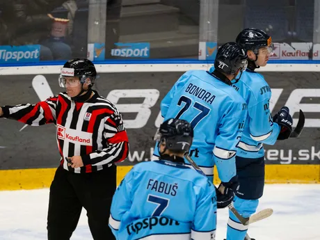 Na snímke hokejisti HC slovan Bratislava oslavujú gól počas zápasu 22. kola Tisport ligy HC Slovan Bratislava – HK Dukla Michalovce.