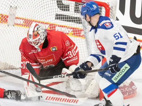 Sprava Maxim Čajkovič (Slovensko) a brankár David Kickert (Rakúsko) 