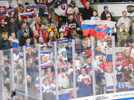 Na snímke slovenskí fanúšikovia počas hokejového zápasu Nemeckého pohára Nemecko - Slovensko v nemeckom Landshute 9. novembra 2025. FOTO TASR - Martin Baumann

- šport
- hokej
- Landshut 
- Nemecký
- pohár 
- turnaj
- slovaciká
- muži
- Nemecko
- Slovensko