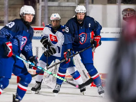 Slovenské hokejistky počas zápasu Slovensko - Francúzsko na Nemeckom pohári žien 2025.