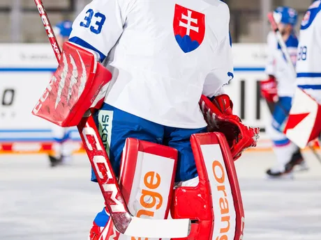 Stanislav Škorvánek v zápase Slovensko - Rakúsko