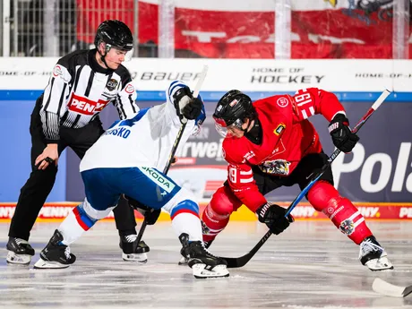 Buly v zápase Slovensko - Rakúsko