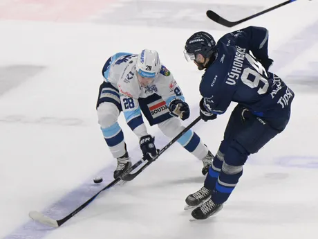 Adam Kalman (Nitra) a Alex Výhonský (Poprad) bojujú o puk v zápase 19. kola hokejovej Tipsport ligy HK Nitra - HK Poprad.