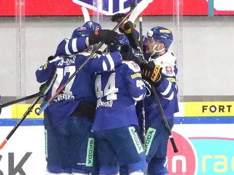 Na snímke gólová radosť Slovenska počas zápasu Vianočného Kaufland Cupu v hokeji Slovensko - Nórsko v Banskej Bystrici.