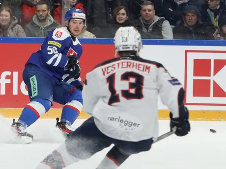 Na snímke Marko Daňo (Slovensko) počas zápasu Vianočného Kaufland Cupu v hokeji Slovensko - Nórsko v Banskej Bystrici.