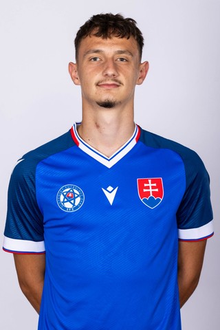 Dominik Hollý