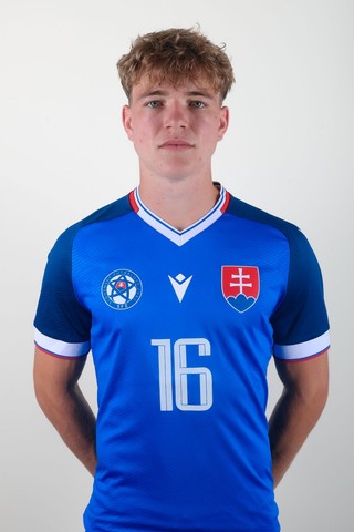 Martin Hlavatý