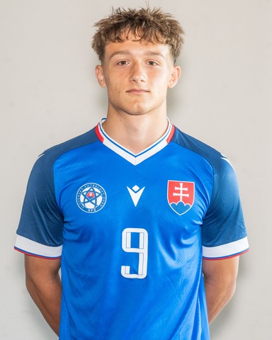 Dávid Polťák