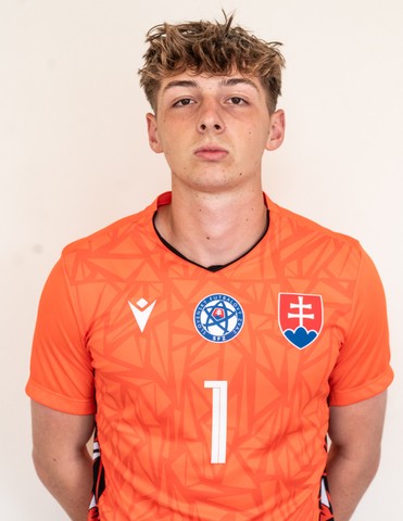 Tomáš Domaniský