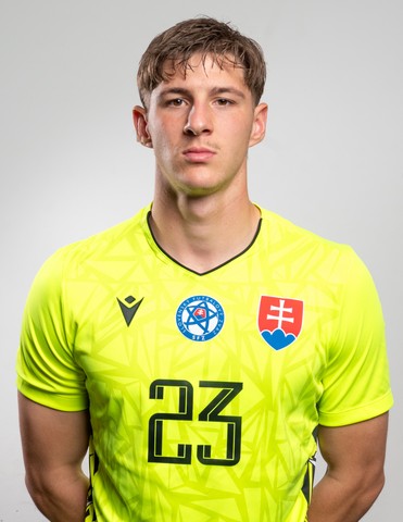 Lukáš Domaniský
