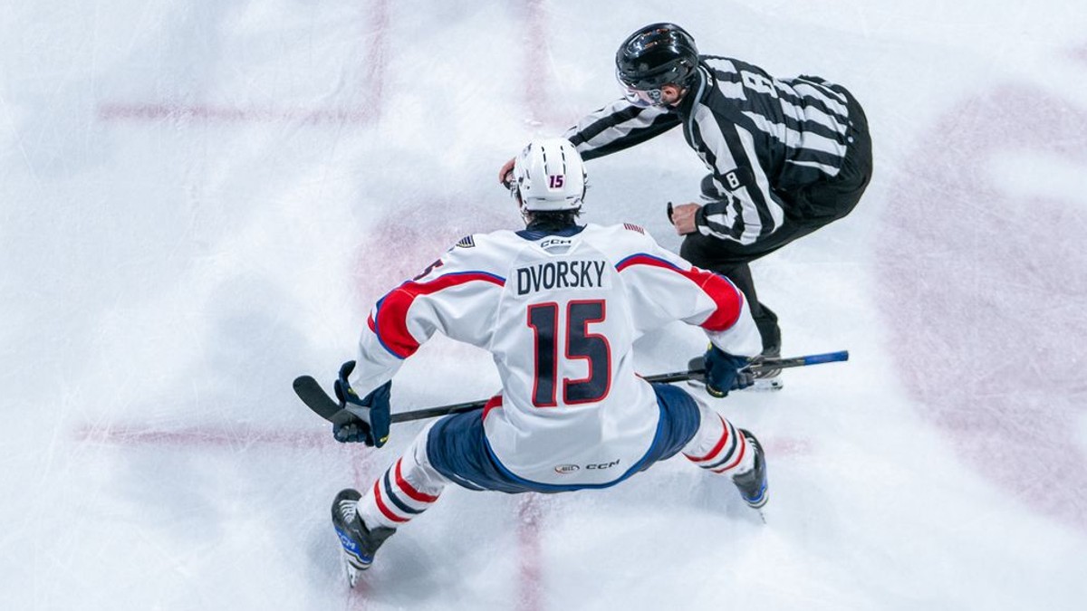 Dalibor Dvorský v drese Springfield Thunderbirds.