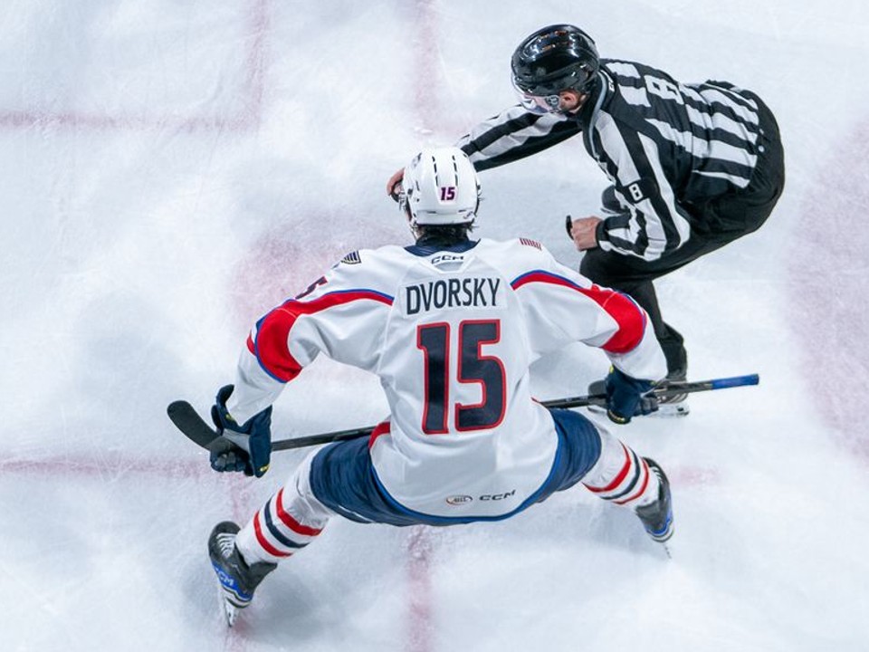 Dalibor Dvorský v drese Springfield Thunderbirds.