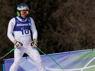 Vľavo slovenský paralpský lyžiar Miroslav Haraus