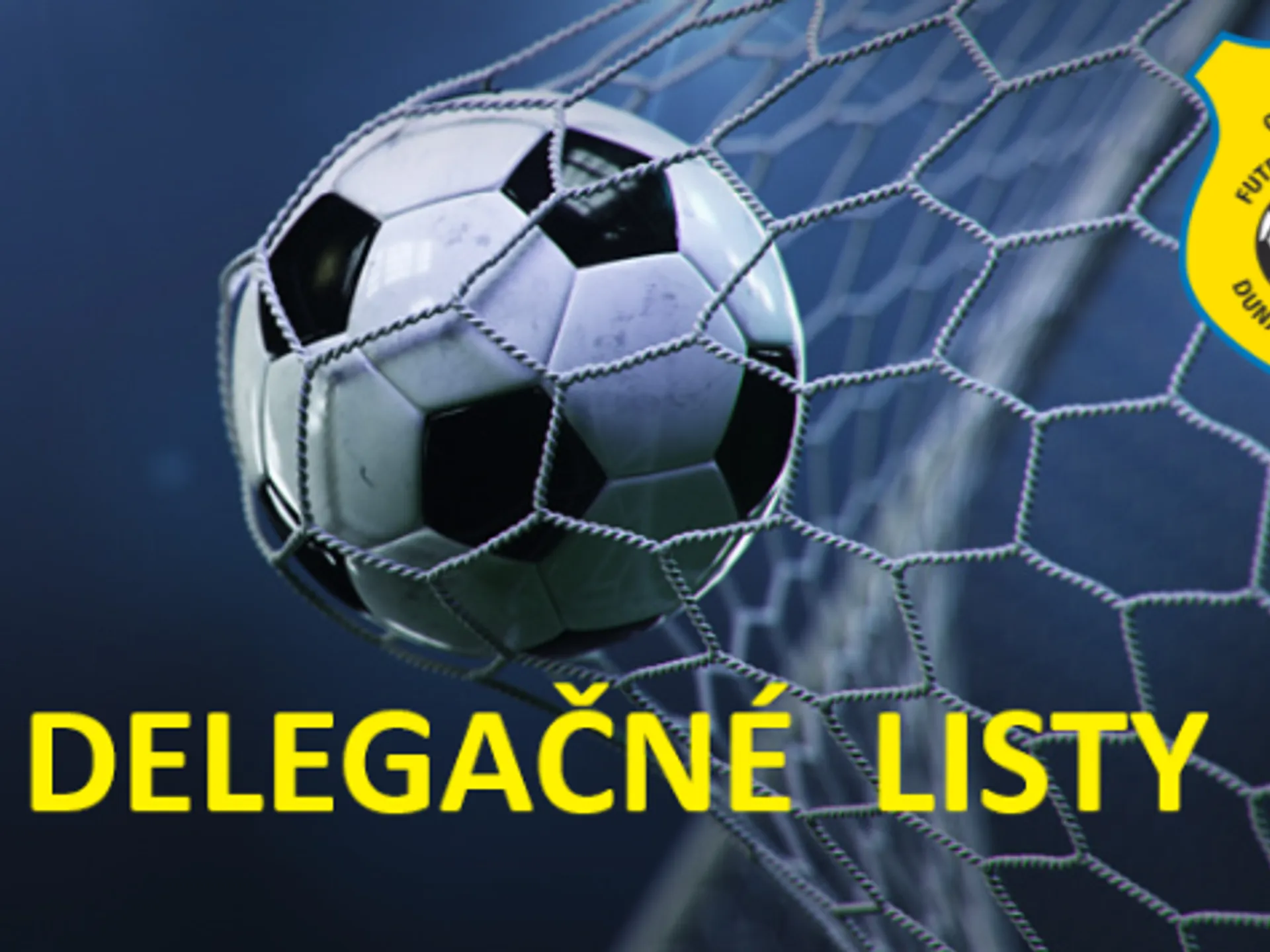 Delegačný list č.19