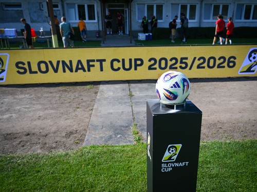 foto SC final ilustracka.jpg