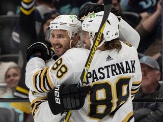 Radosť hráčov Bostonu Bruins.