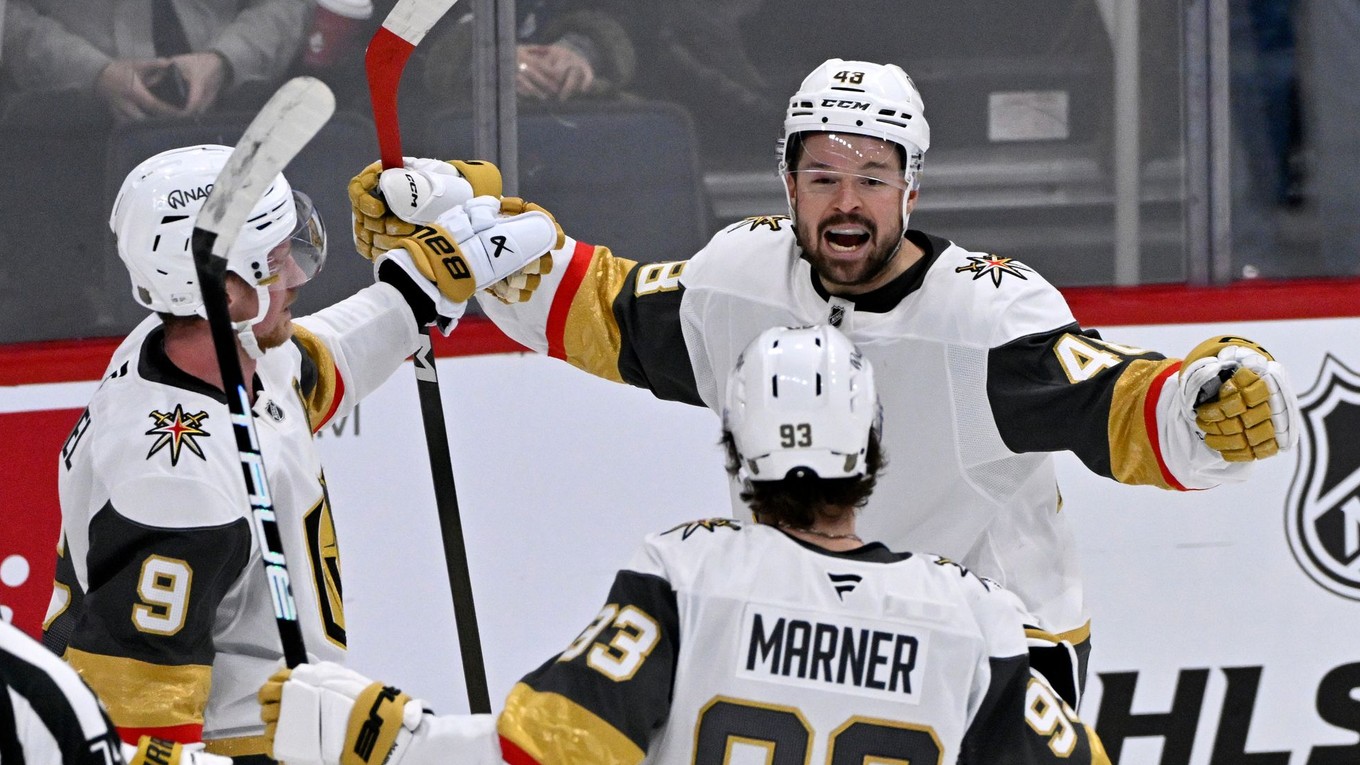 Tomáš Hertl oslavuje gól