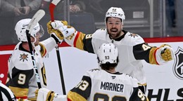 Tomáš Hertl oslavuje gól