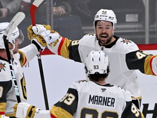 Tomáš Hertl oslavuje gól