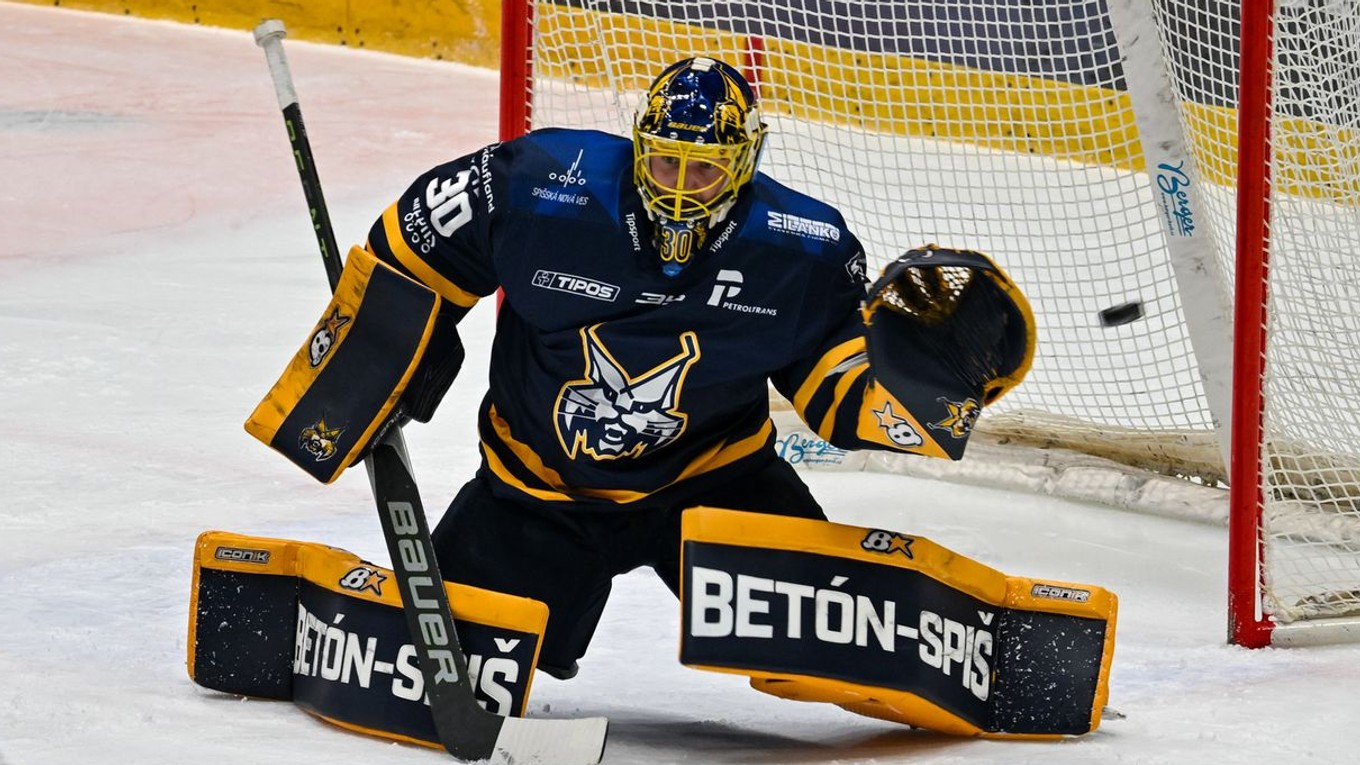 brankár Denis Godla 