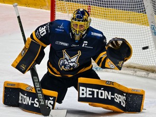 brankár Denis Godla 