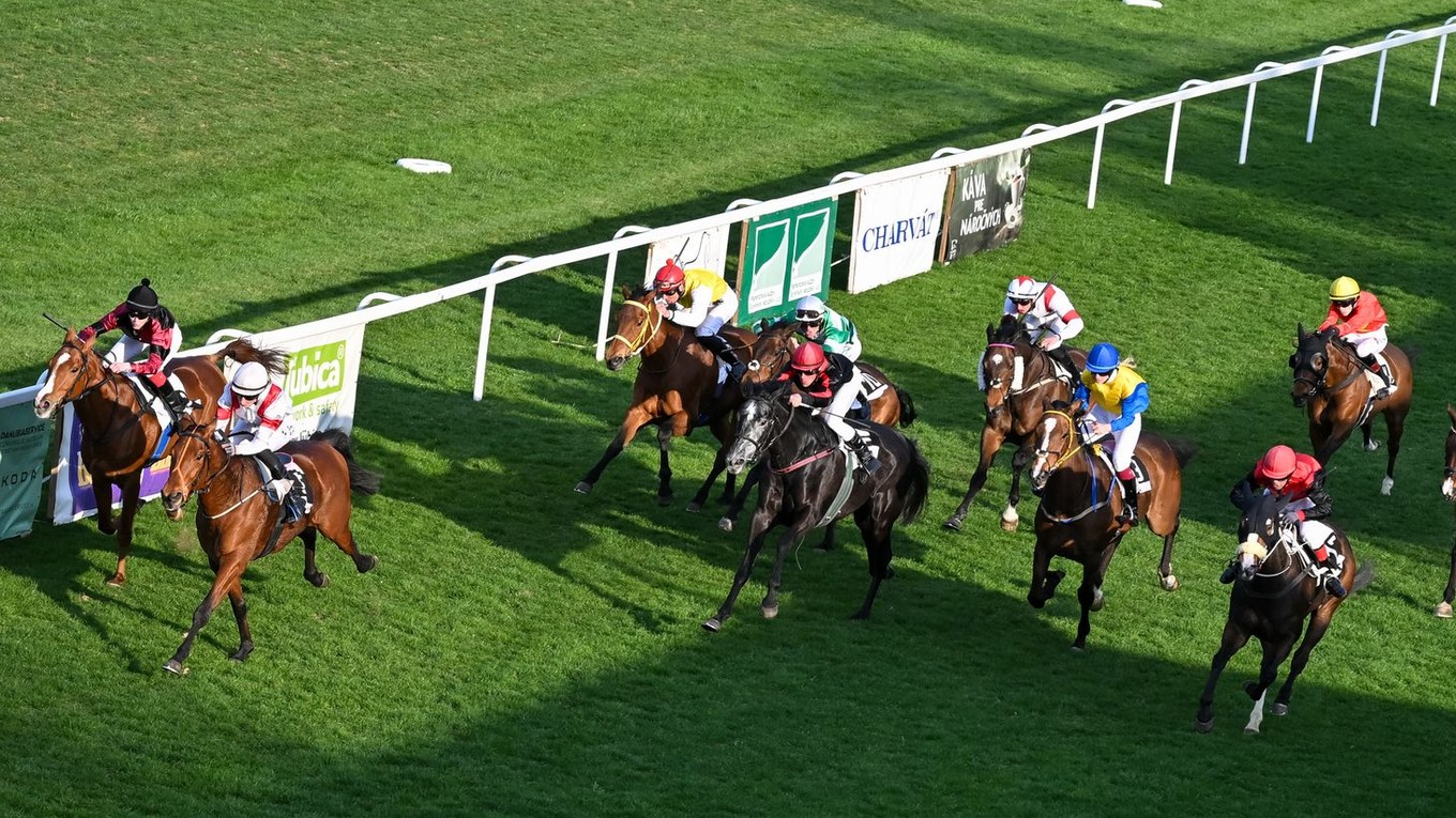 Ilustračná fotografia z bratislavských dostihov.