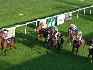 Ilustračná fotografia z bratislavských dostihov.