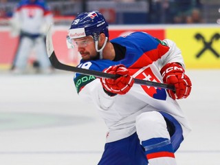 Na snímke je slovenský hokejista Libor Hudáček.