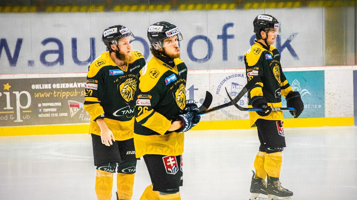 Hráči HK Levice