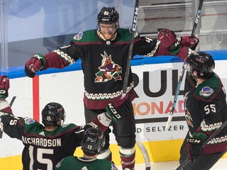 Hokejisti tímu NHL Arizona Coyotes. 