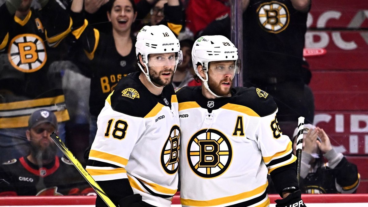 Pavel Zacha a David Pastrňák