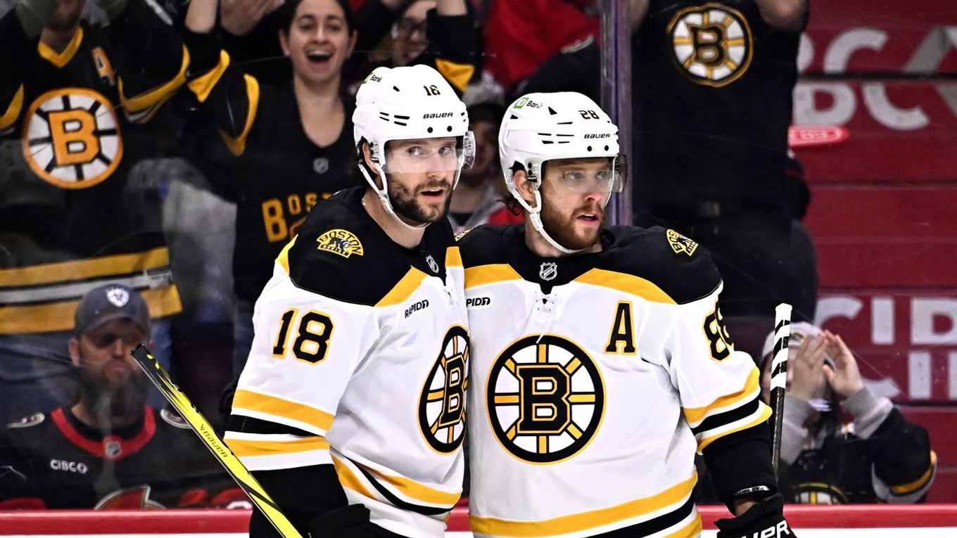 Pavel Zacha a David Pastrňák