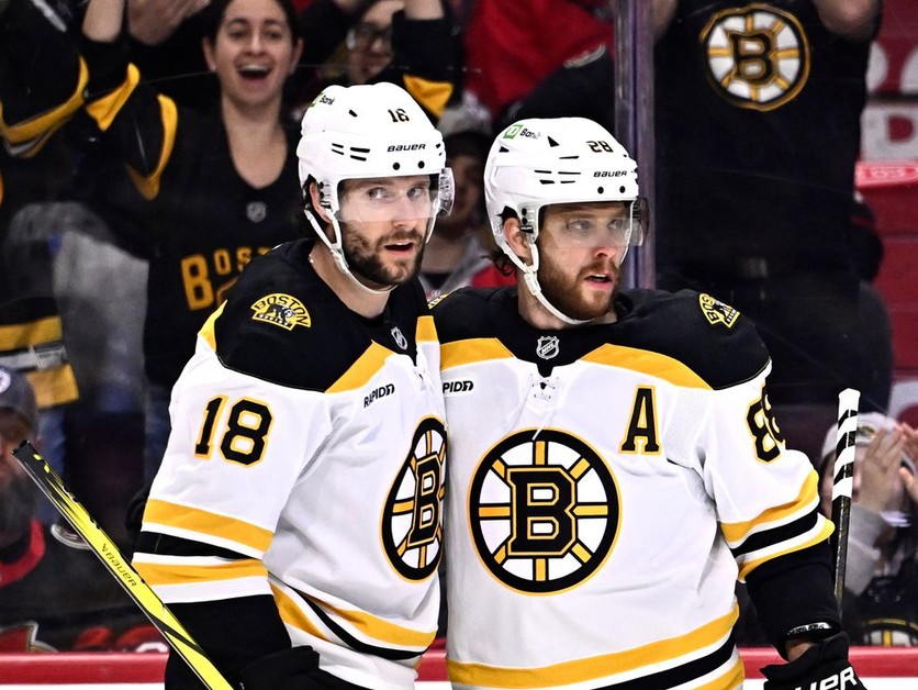 Pavel Zacha a David Pastrňák