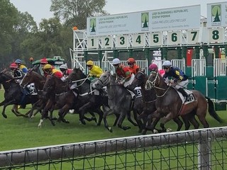 Fotka zo Slovenského derby v Bratislave.