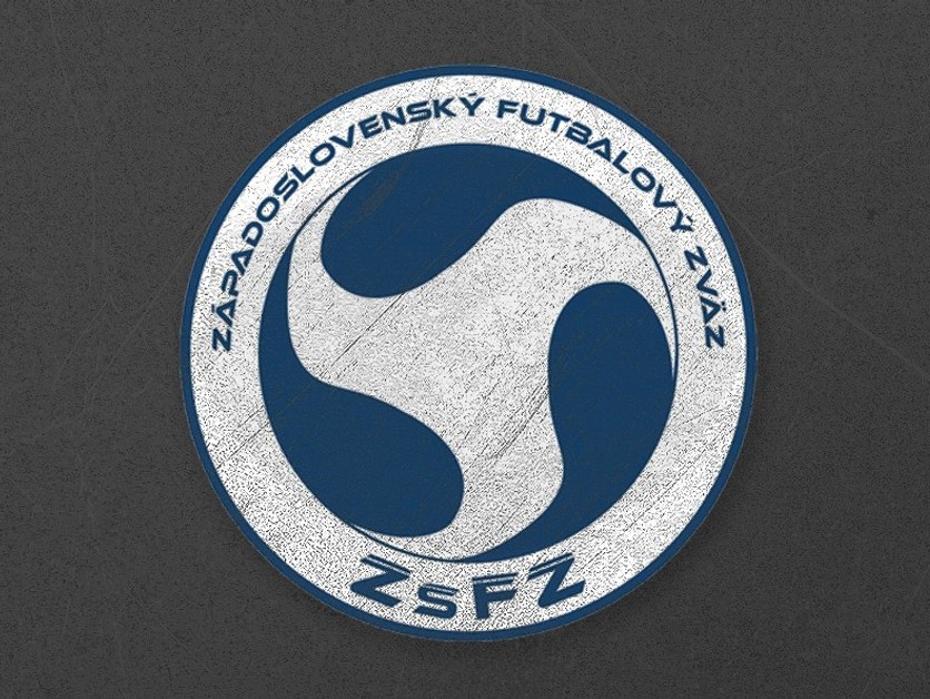 Výročná správa ZsFZ 2020