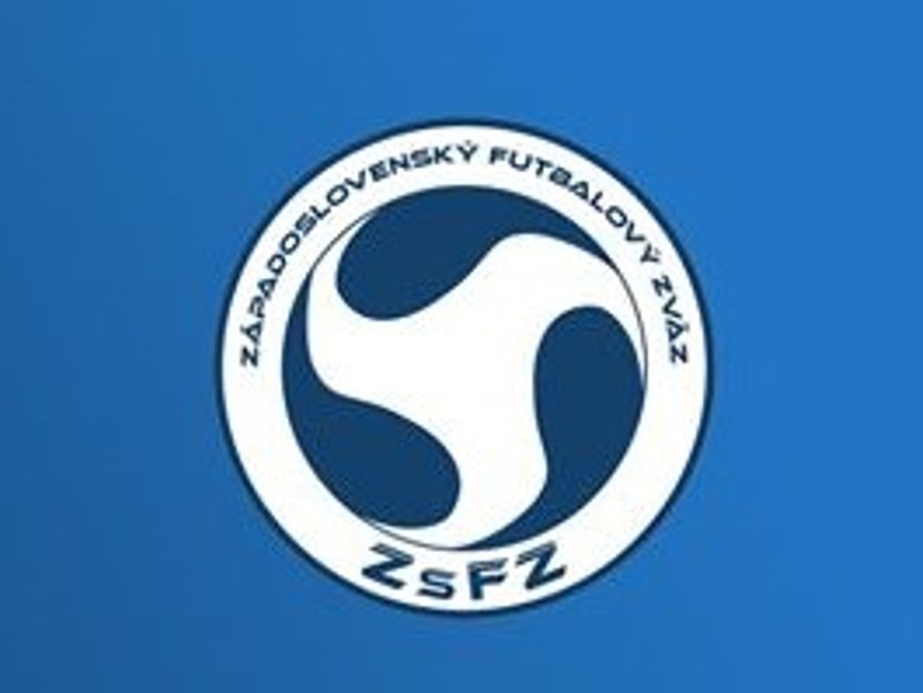 Výročná správa a správa nezávislého audítora z auditu účtovnej závierky ZsFZ za rok 2022