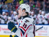 Dalibor Dvorský v drese Springfield Thunderbirds.