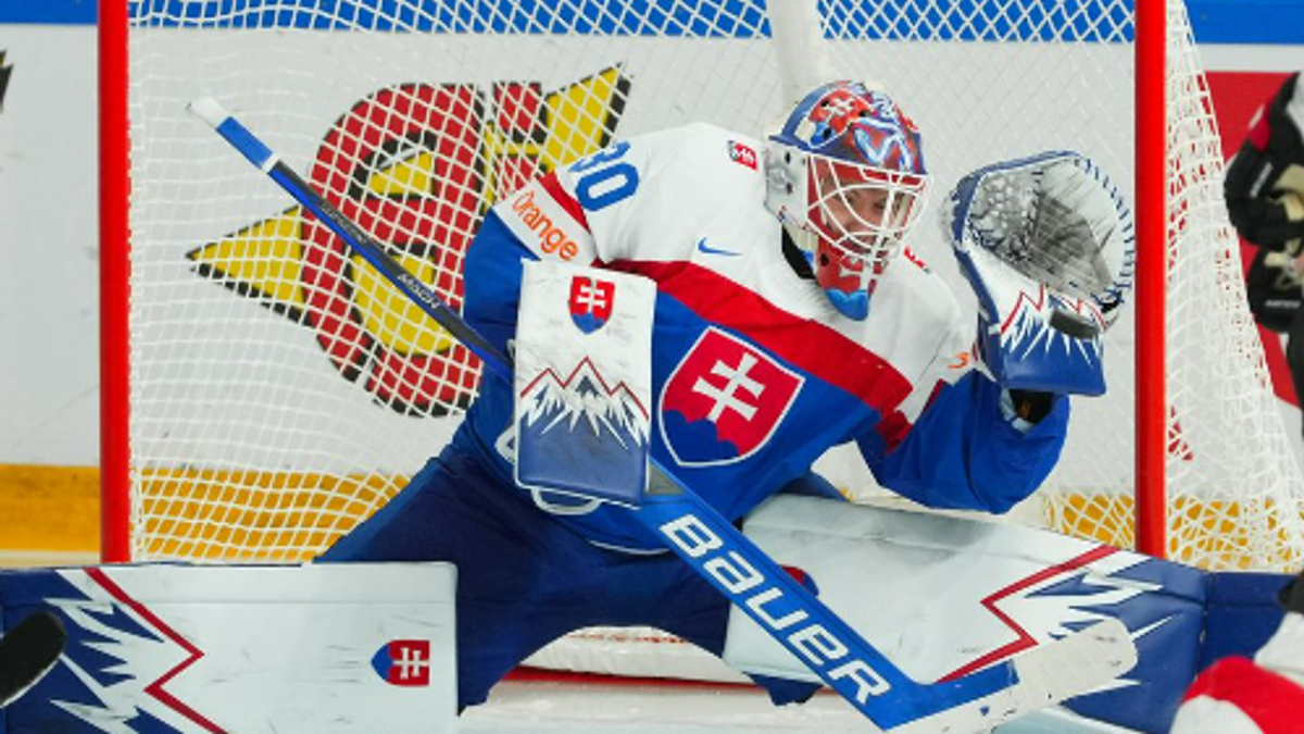 Slovenský brankár Adam Gajan.