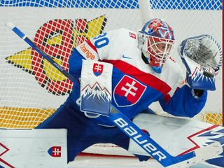 Slovenský brankár Adam Gajan.