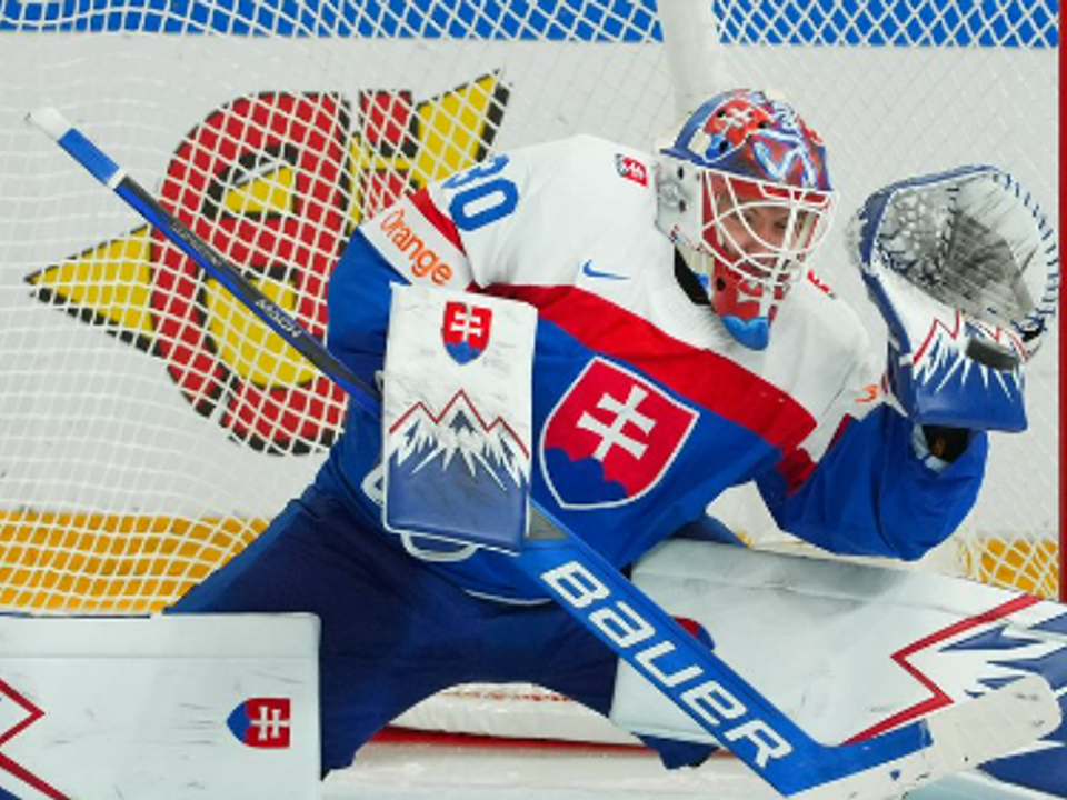 Slovenský brankár Adam Gajan.