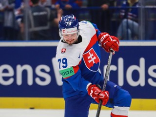 Libor Hudáček v zápase Slovensko - Nemecko na MS v hokeji 2024.