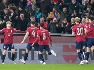 Český útočník Pavel Šulc oslavuje gól.