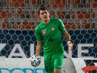 Brankár Martin Jedlička po inkasovanom góle v Linzi.