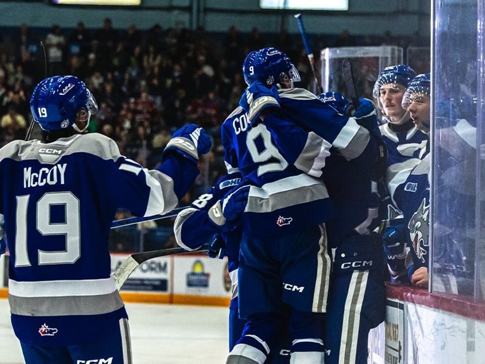 Hokejisti Sudbury Wolves.