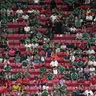 Fanúšikovia sledujú zápas A-skupiny majstrovstiev sveta medzi Južnou Kóreou a Českom.