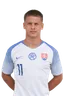 Patrik Jevoš