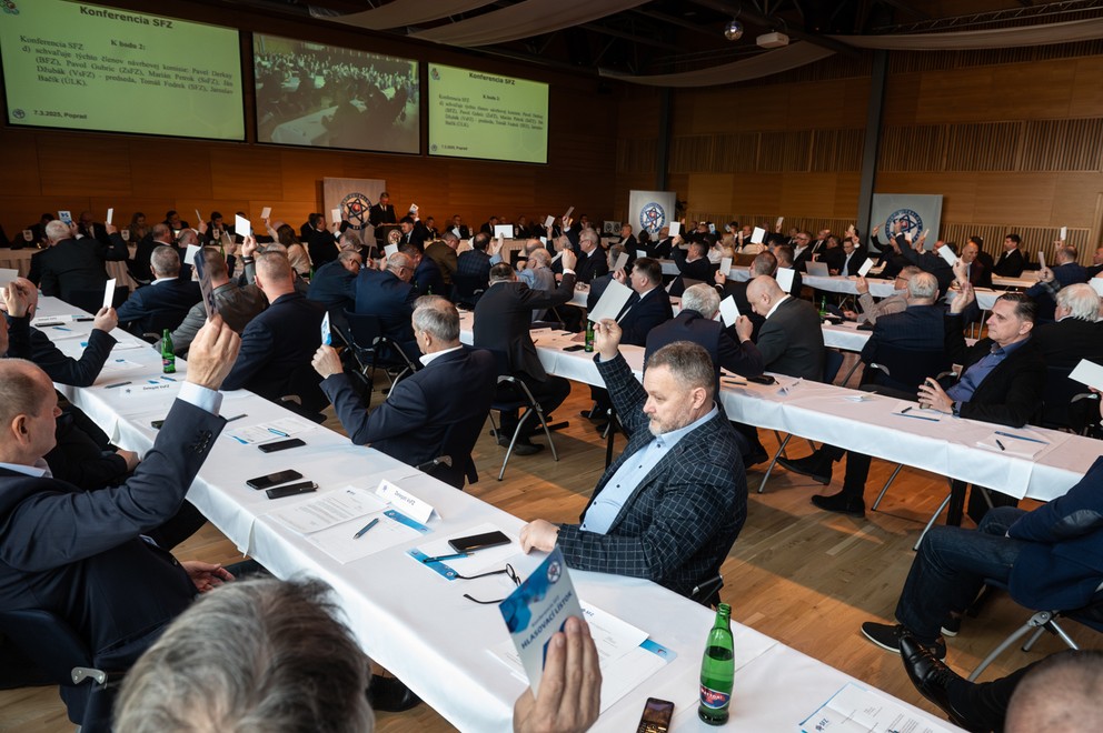 Konferencia Slovenského futbalového zväzu (SFZ) na piatkovom stretnutí v Poprade jednohlasne schválila rozpočet na tento rok.