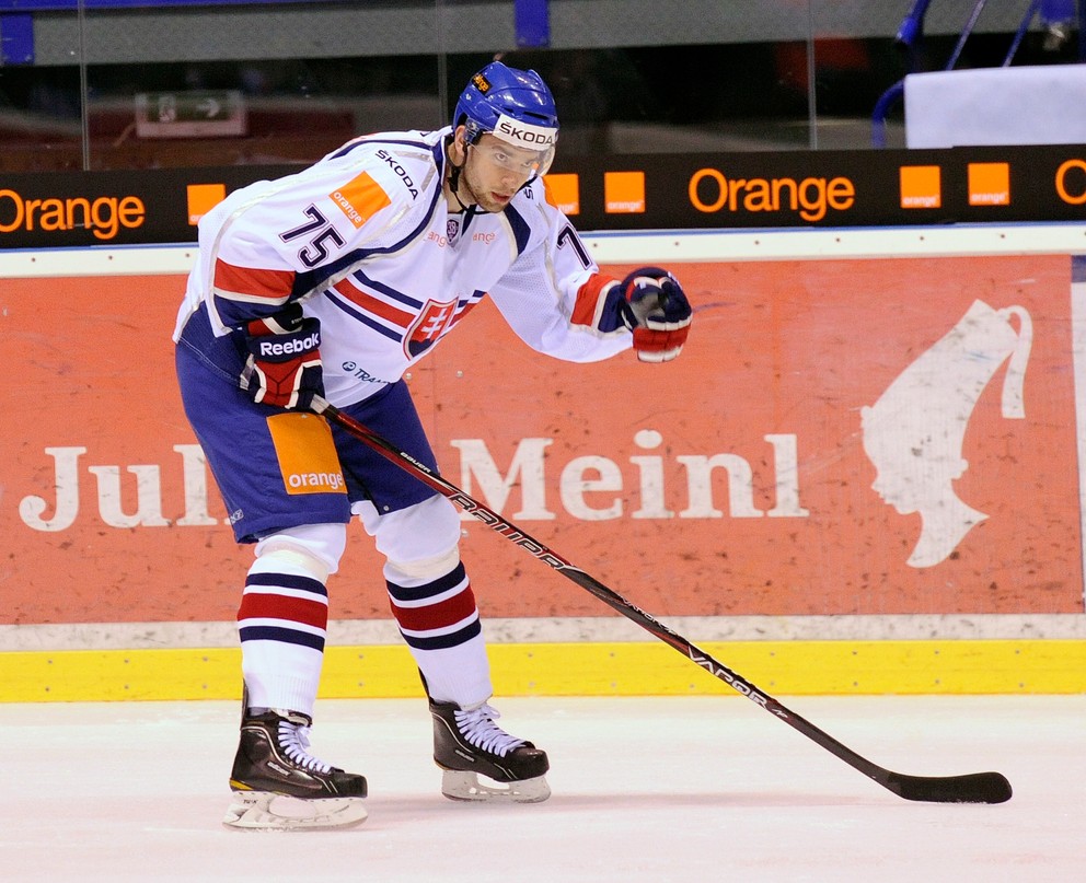 Richard Stehlík si v minulosti obliekol aj dres slovenskej hokejovej reprezentácie.